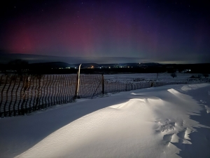 Aurora viewed from White Grass
