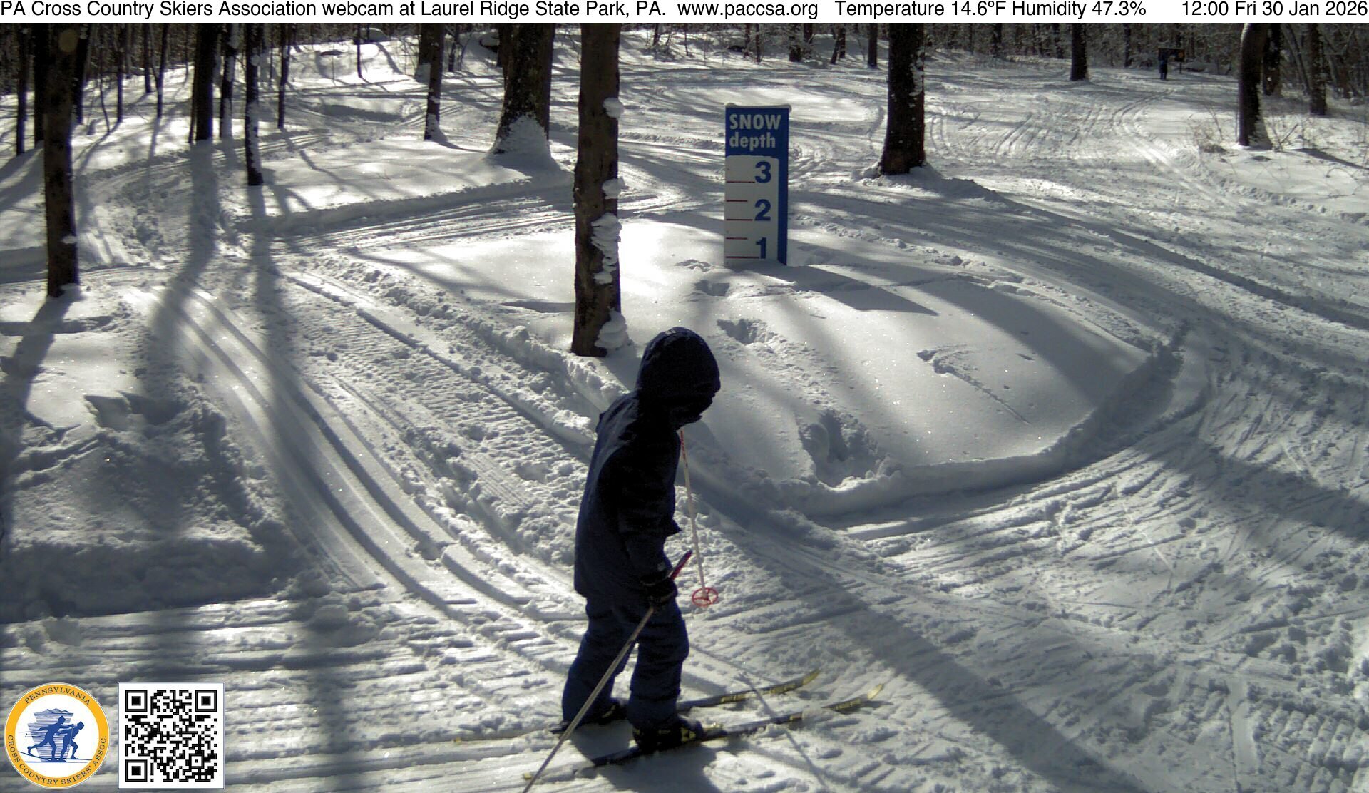 PACCSA webcam at Laurel Ridge State Park